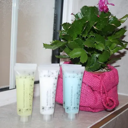 Almanii Oda ve Kahvaltı